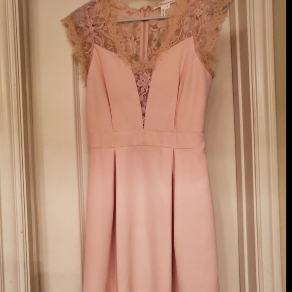 BCBG Generation Rose Smoke Lace Pleated Mini Dress Size 2 - Picture 13 of 16
